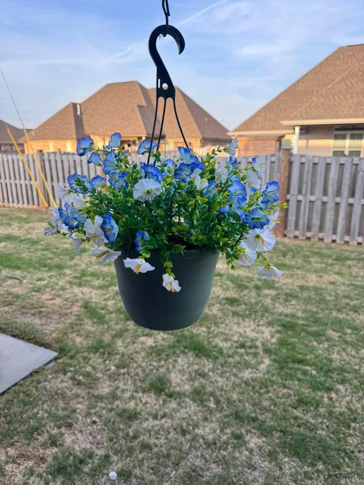 Mini Morning Glory Bunch 14" - Blue