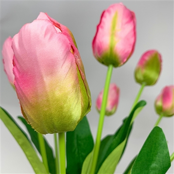 Floral Market Tulip Bush x 9 - Fuchsia 20" | YSE