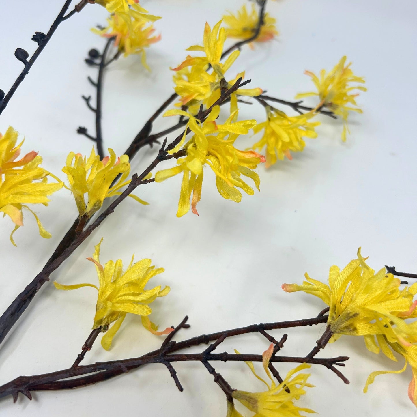 39.5" Witch Hazel Spray in Yellow | XJE