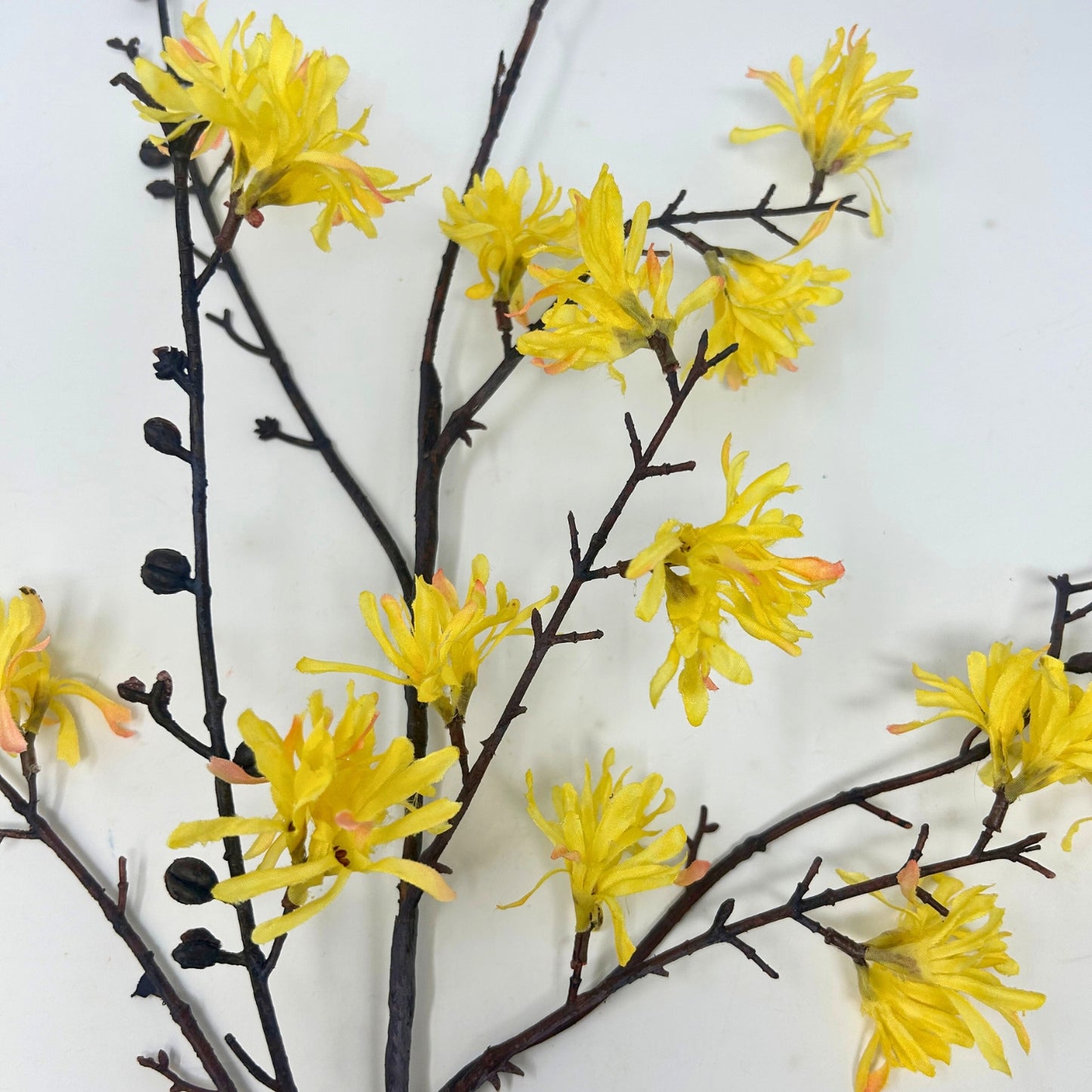 39.5" Witch Hazel Spray in Yellow | XJE