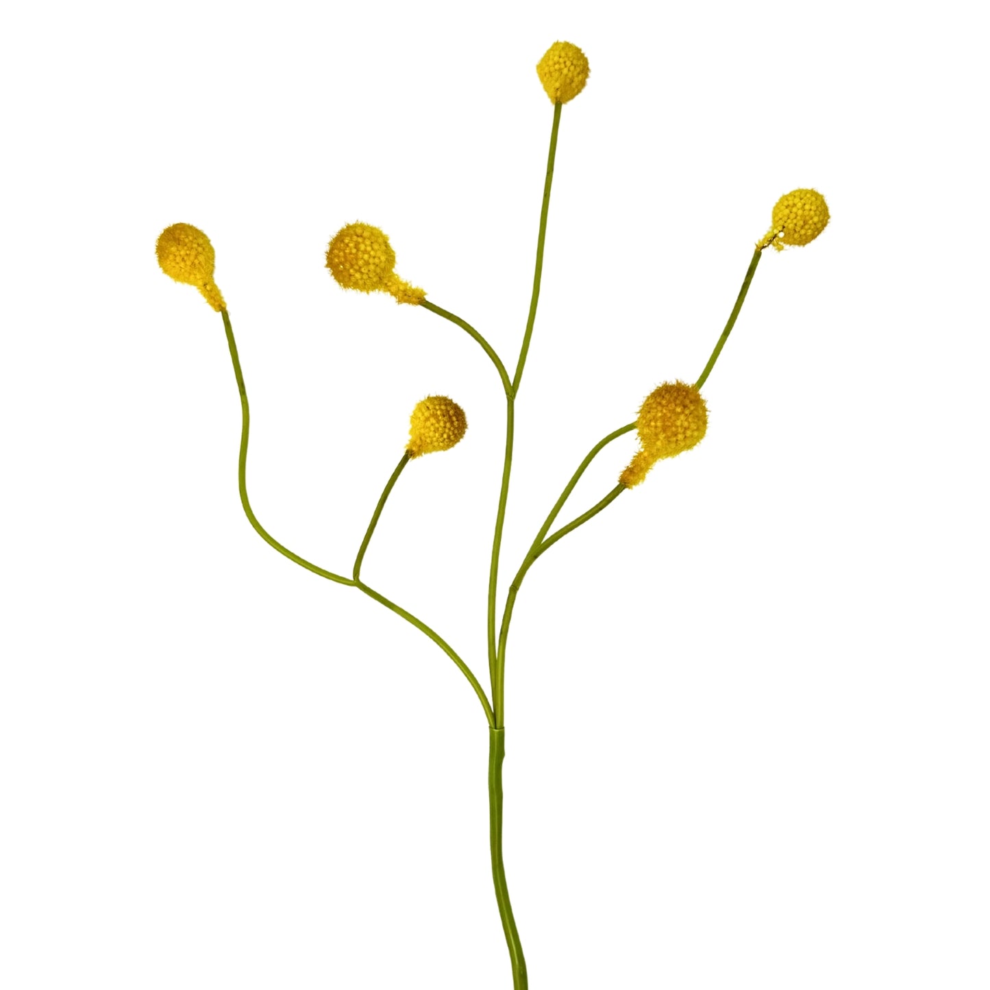 24" Billy Button Spray in Yellow | XJE