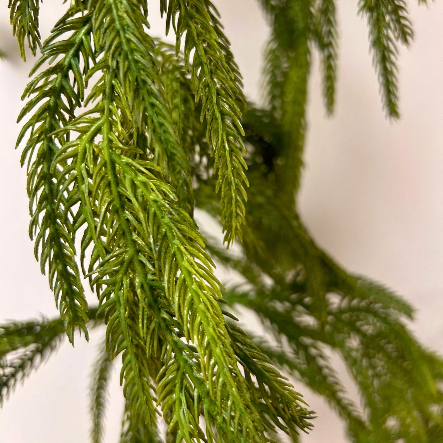58" Natural Touch Norfolk Pine Garland | XJ
