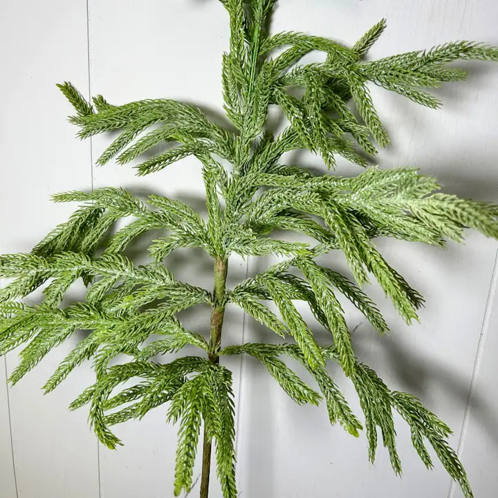 Eastern Norfolk Pine Spray 36” | XJ