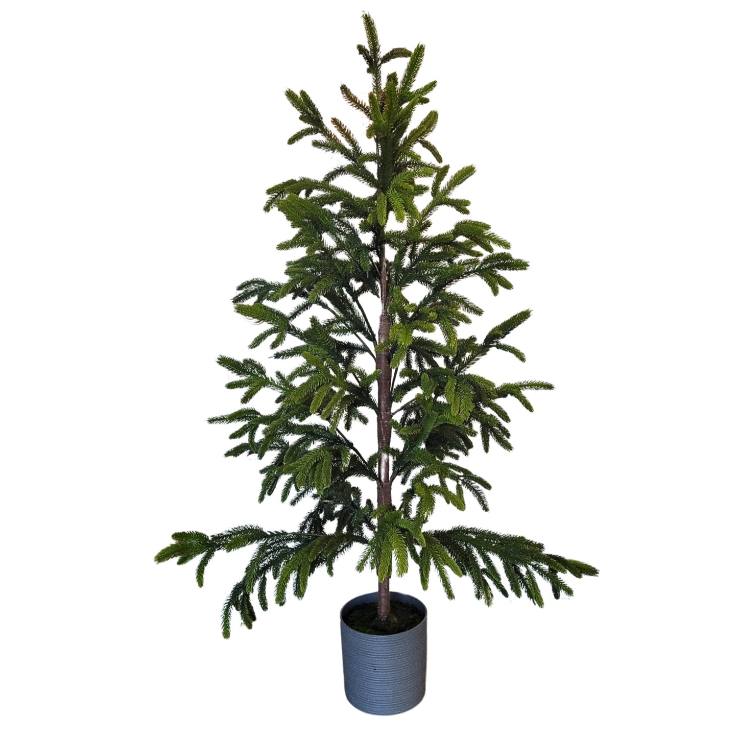 Real Touch White Spruce Potted Tree 60" | XJ