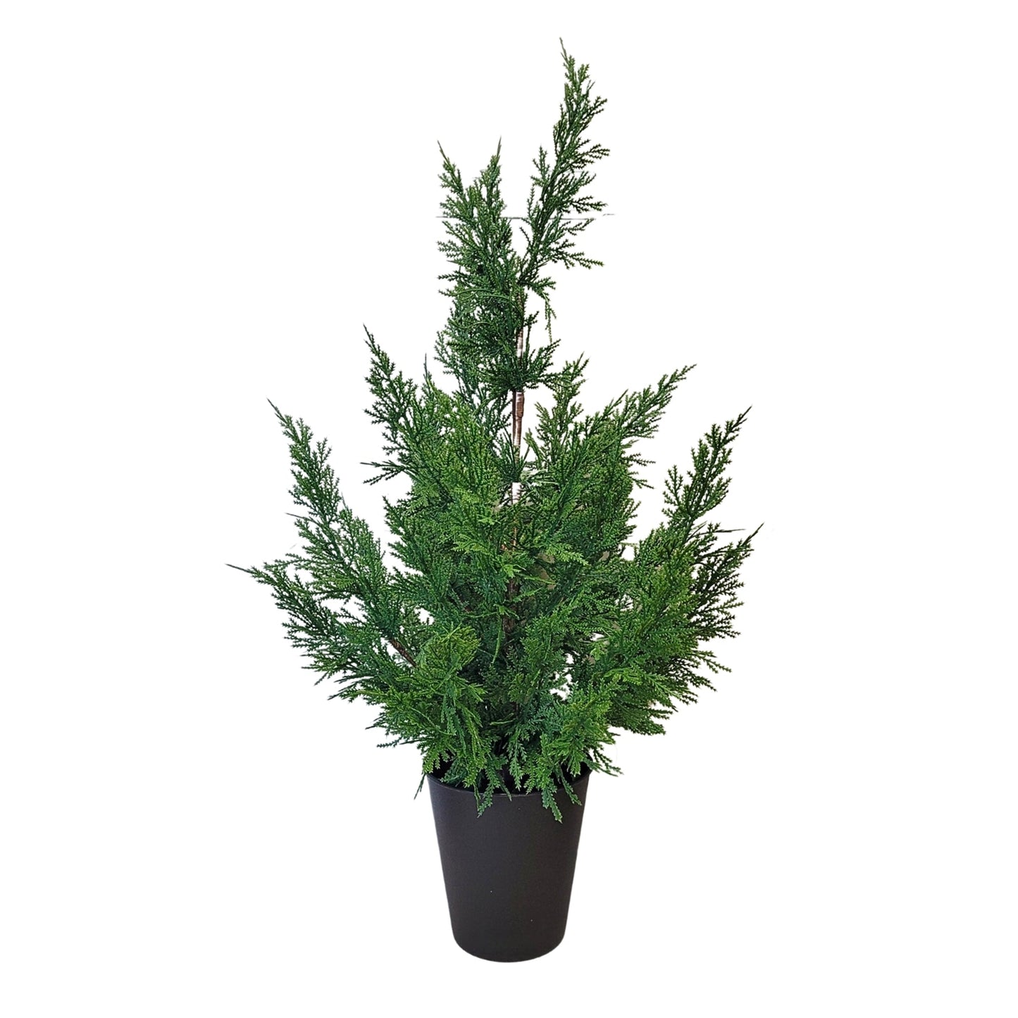 Fresh Touch Cedar Tree in Plastic Pot 29” | YS