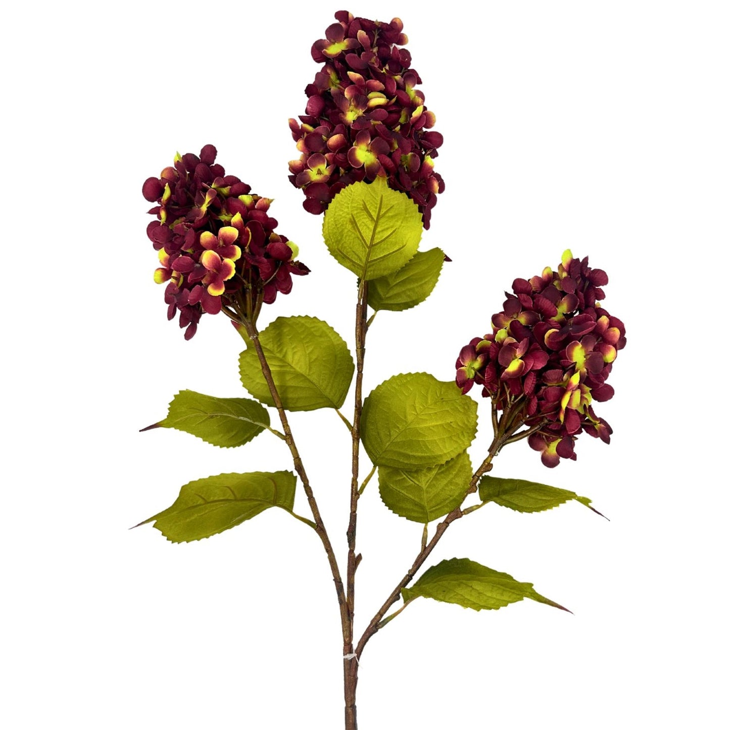 Meadows Cone Hydrangea Stem x 3 - Burgundy/Green 39” | YS