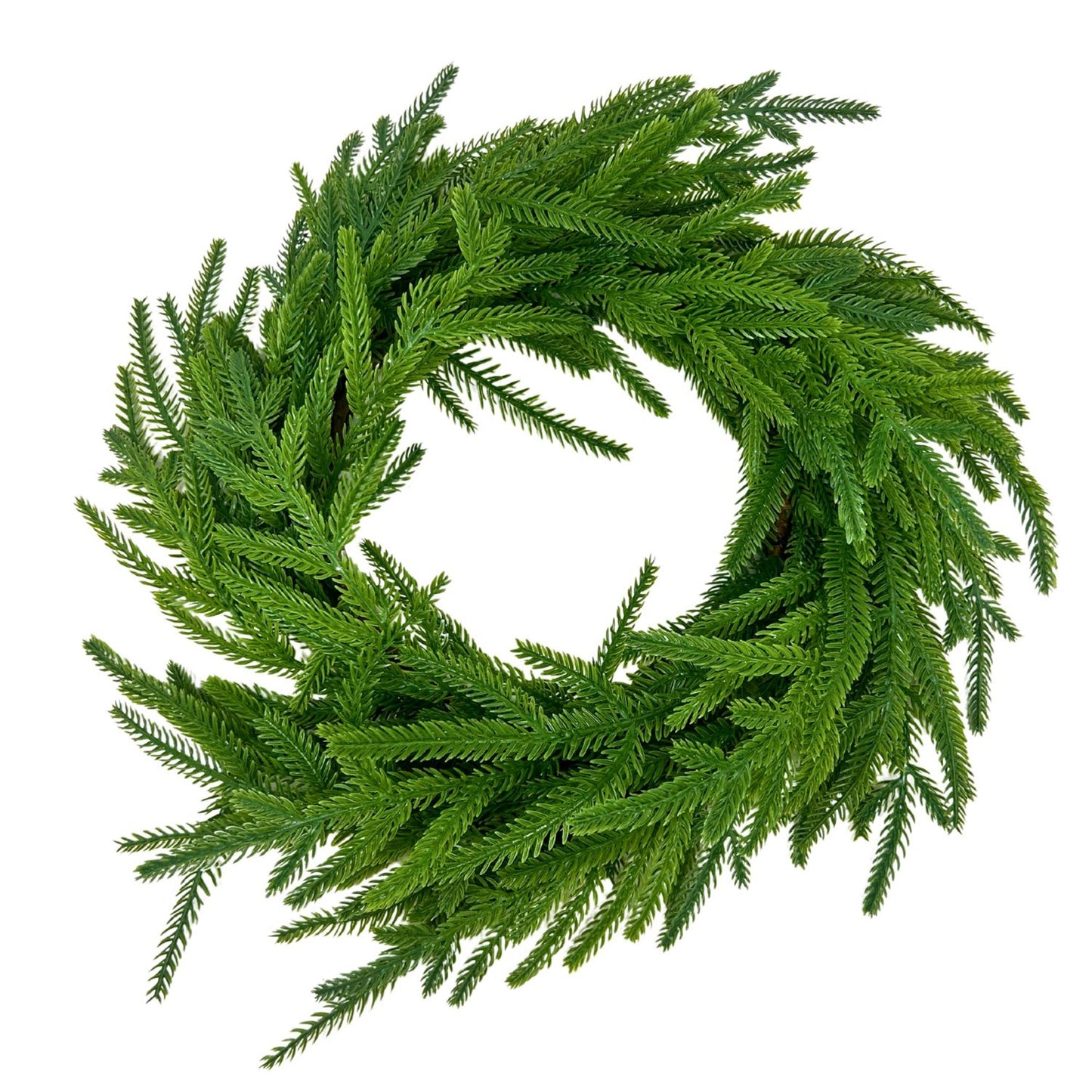 Fresh Touch Norfolk Pine Wreath 18” | YS