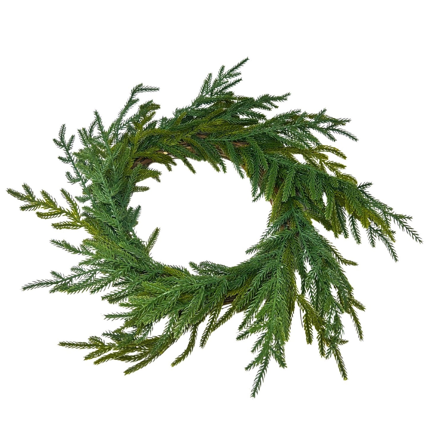 Fresh Touch Norfolk Pine Wreath 21” | YS