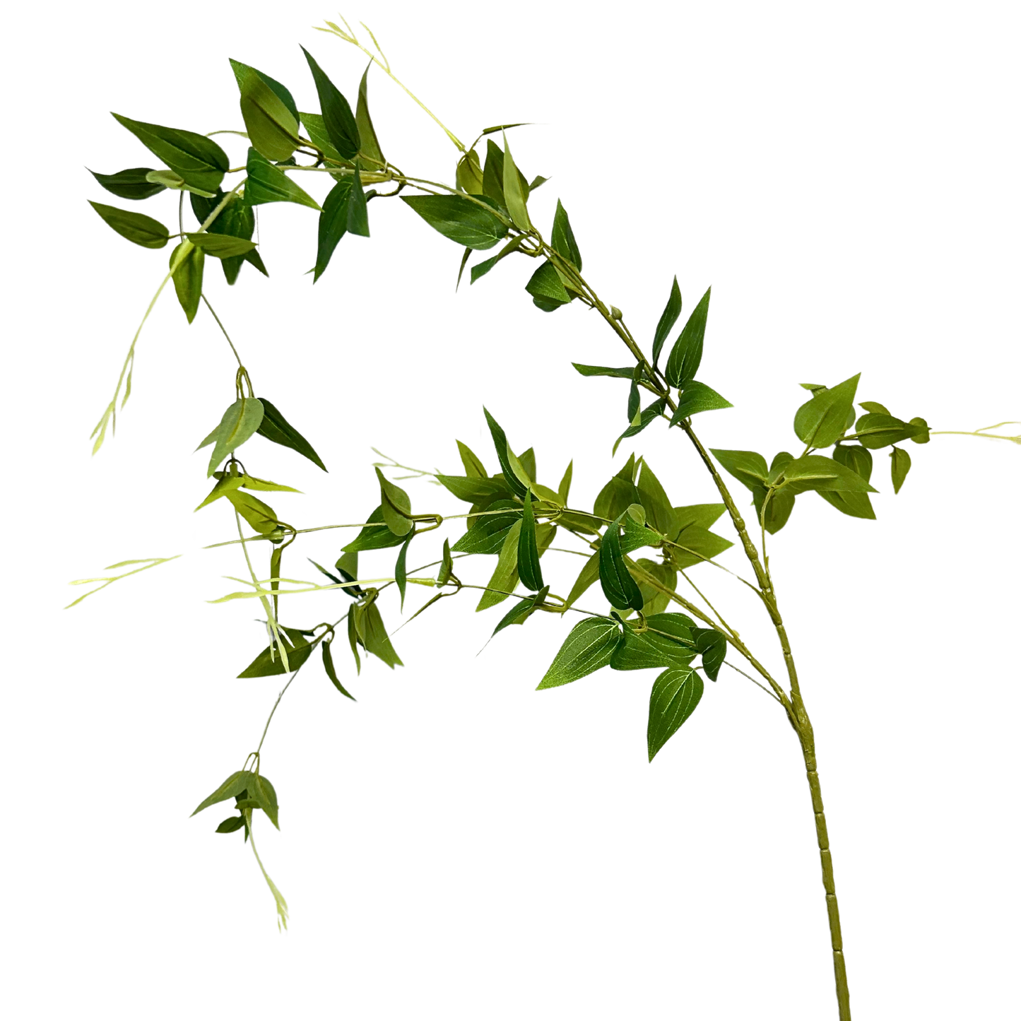 46” Clematis Leaf Spray - Two Toned Green |XJE