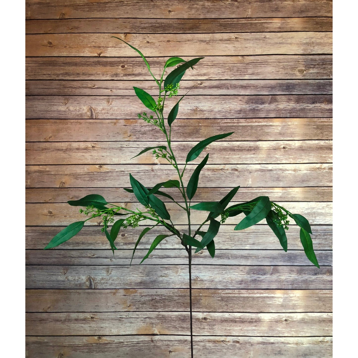 50" Seeded Eucalyptus Spray in Green | XJE
