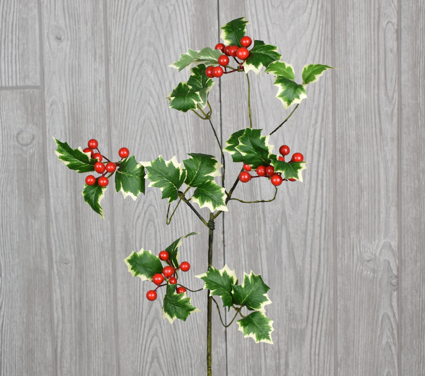 21" Variegated Holly Berry Spray | XJ