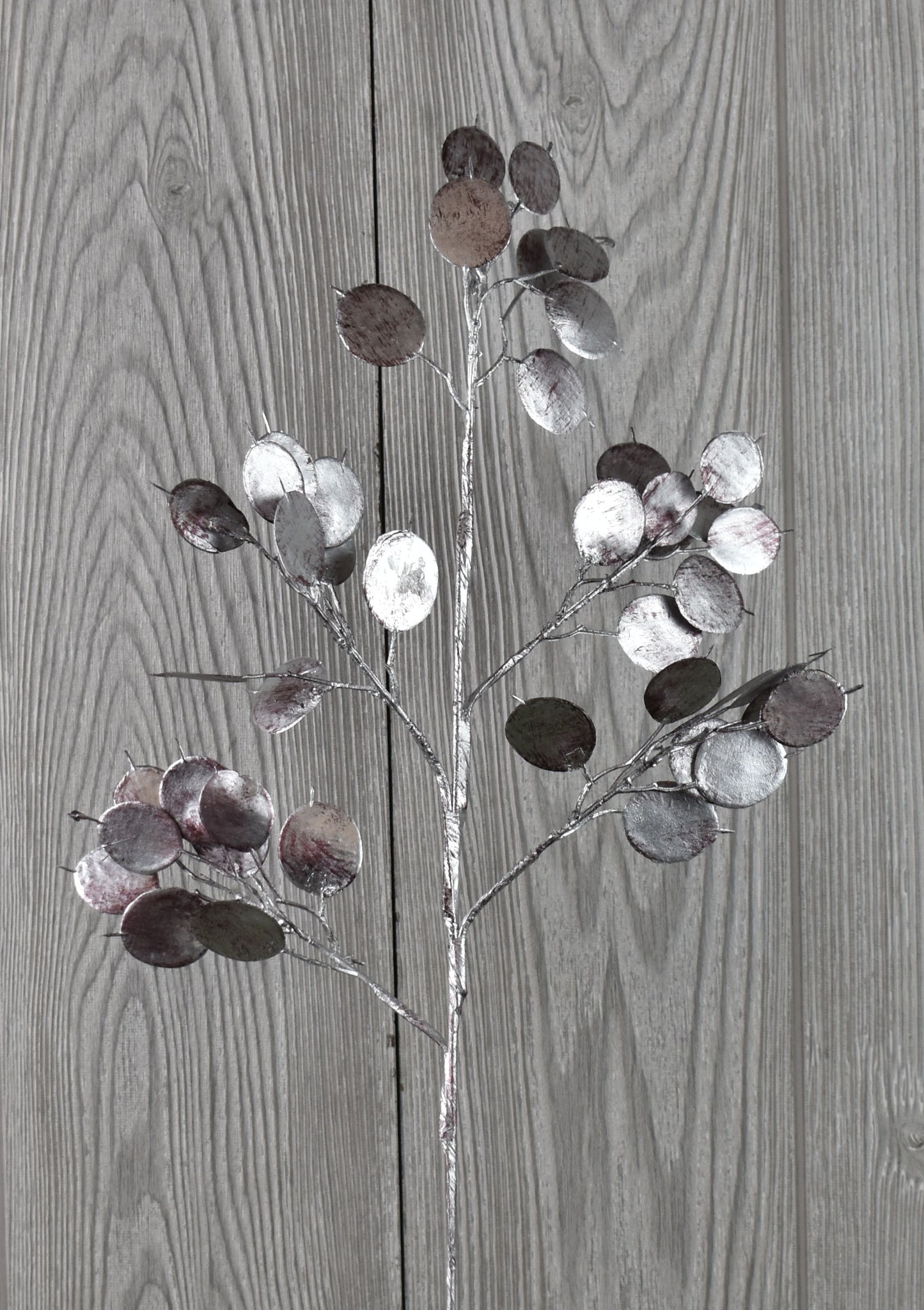 24" Metallic Dollar Eucalyptus Spray in Silver | XJ