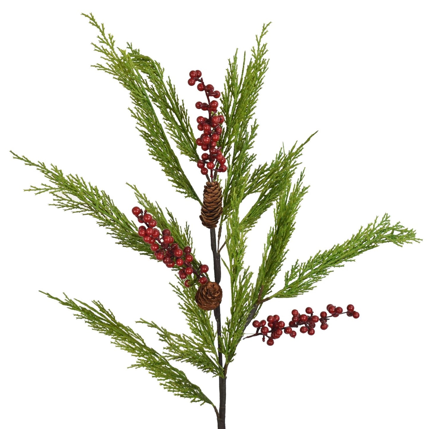 37" Leyland Cypress Berry Spray | XJ