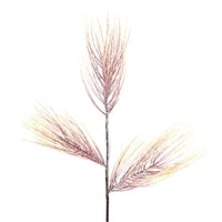 30" Hombre Rosé Pine Spray | QG