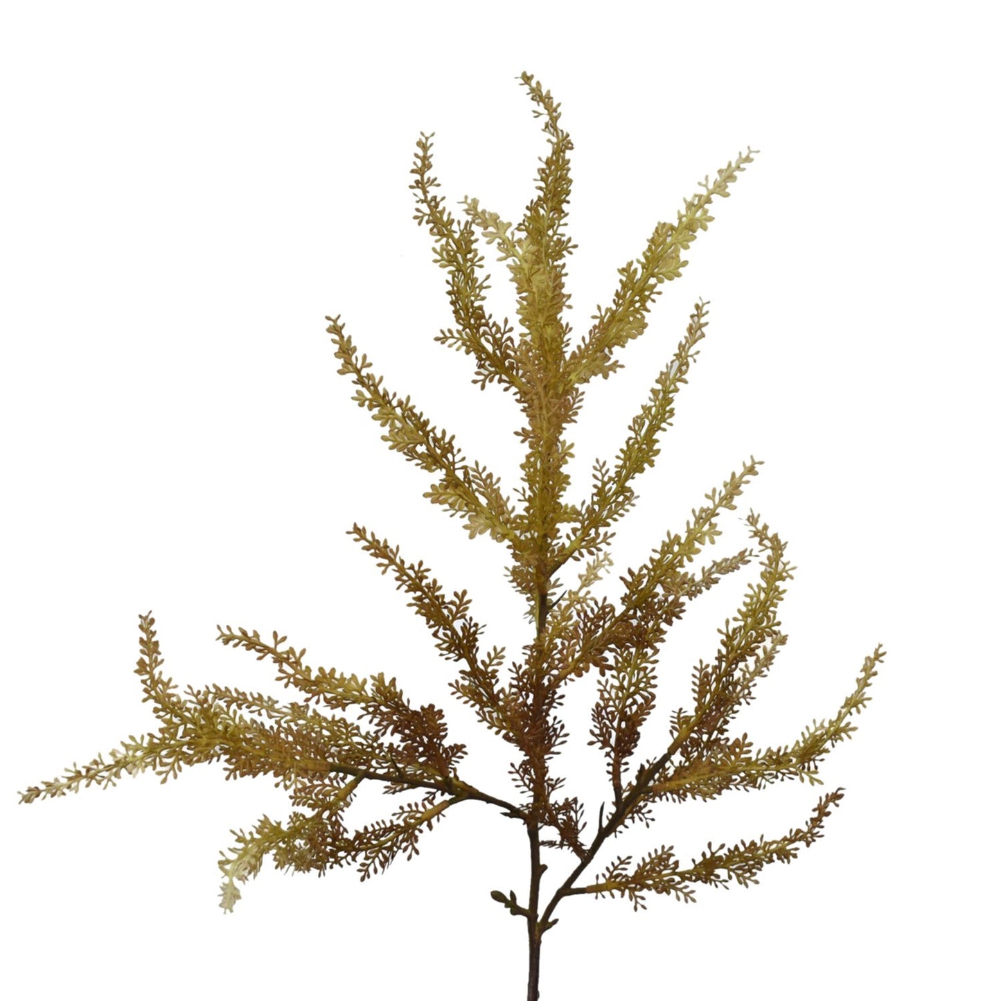 25.5” Wild Grass Foliage Stem in Green | XJ