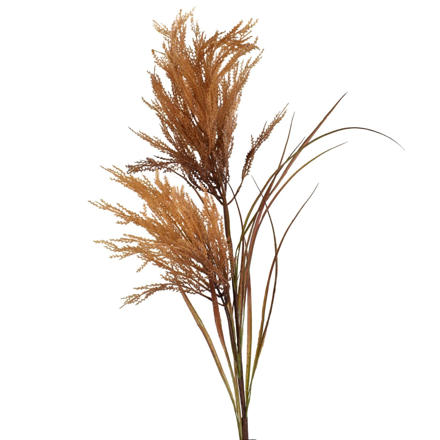 49” Coffee Brown Alabama Sea Oat Spray | XJ