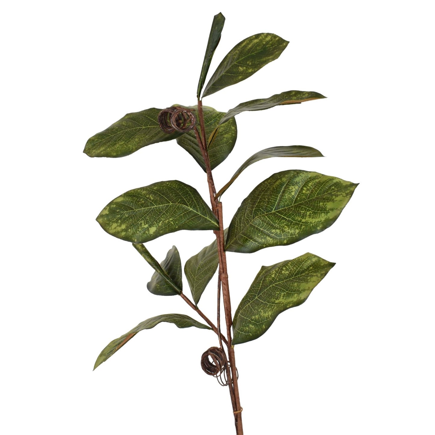 39" Magnolia Leaf Branch | XJ