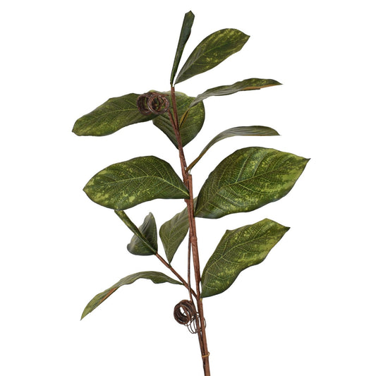 39" Magnolia Leaf Branch | XJ