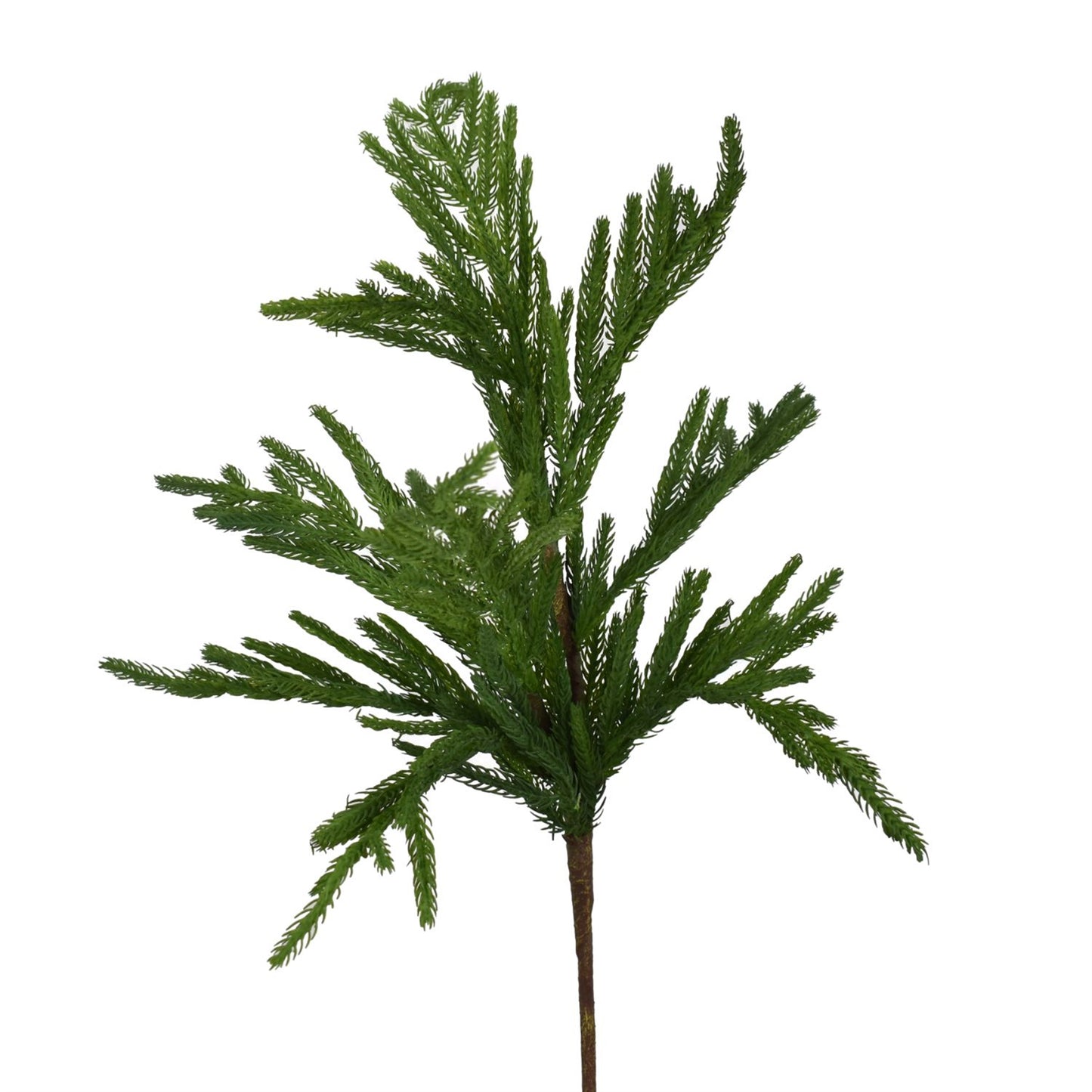 31” Short Needle Norfolk Pine Branch | XJ