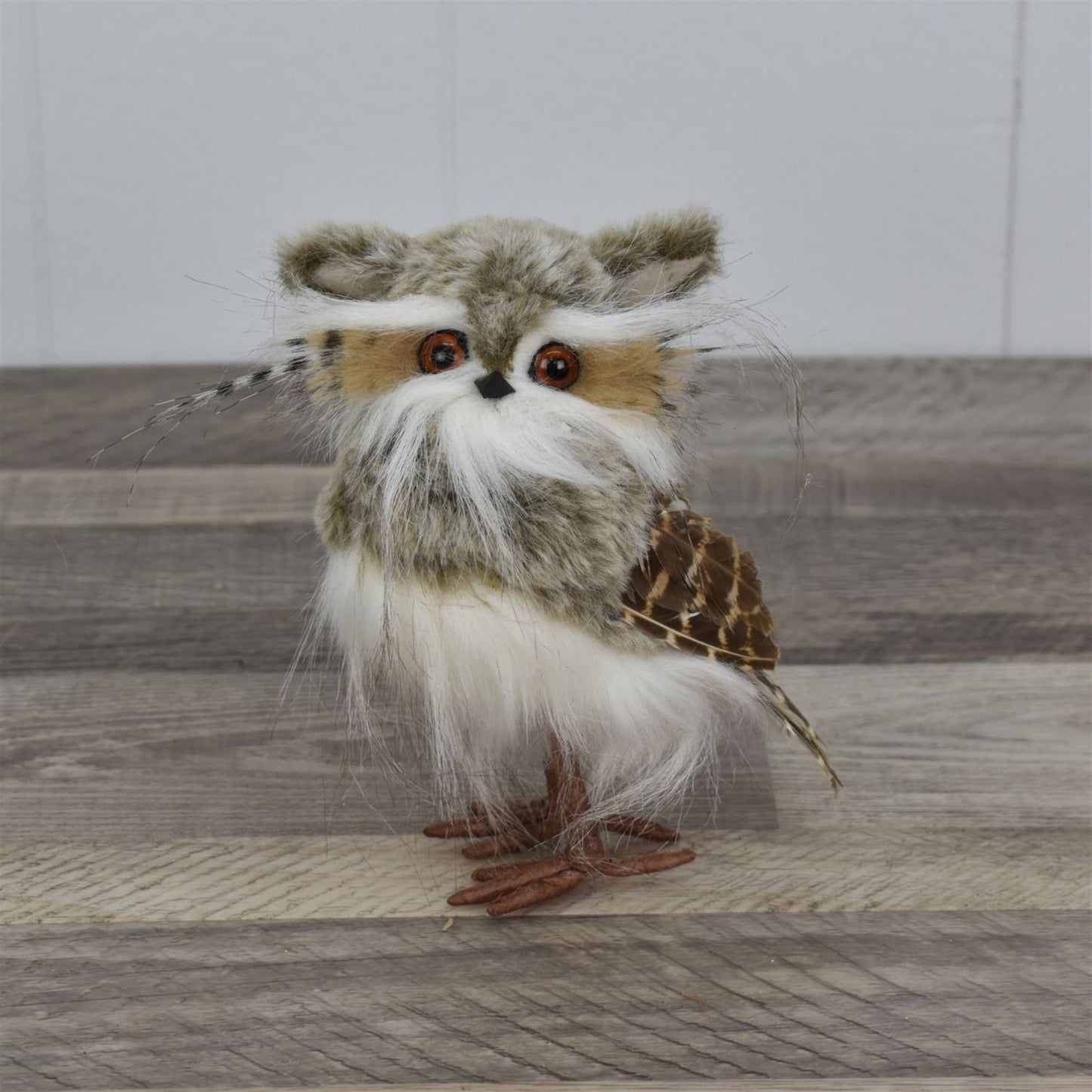 6” Long Eared Owl | BF