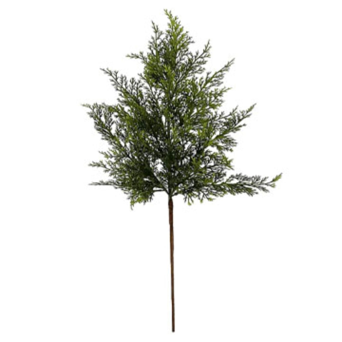 26” Western Leyland Cypress Spray | QS