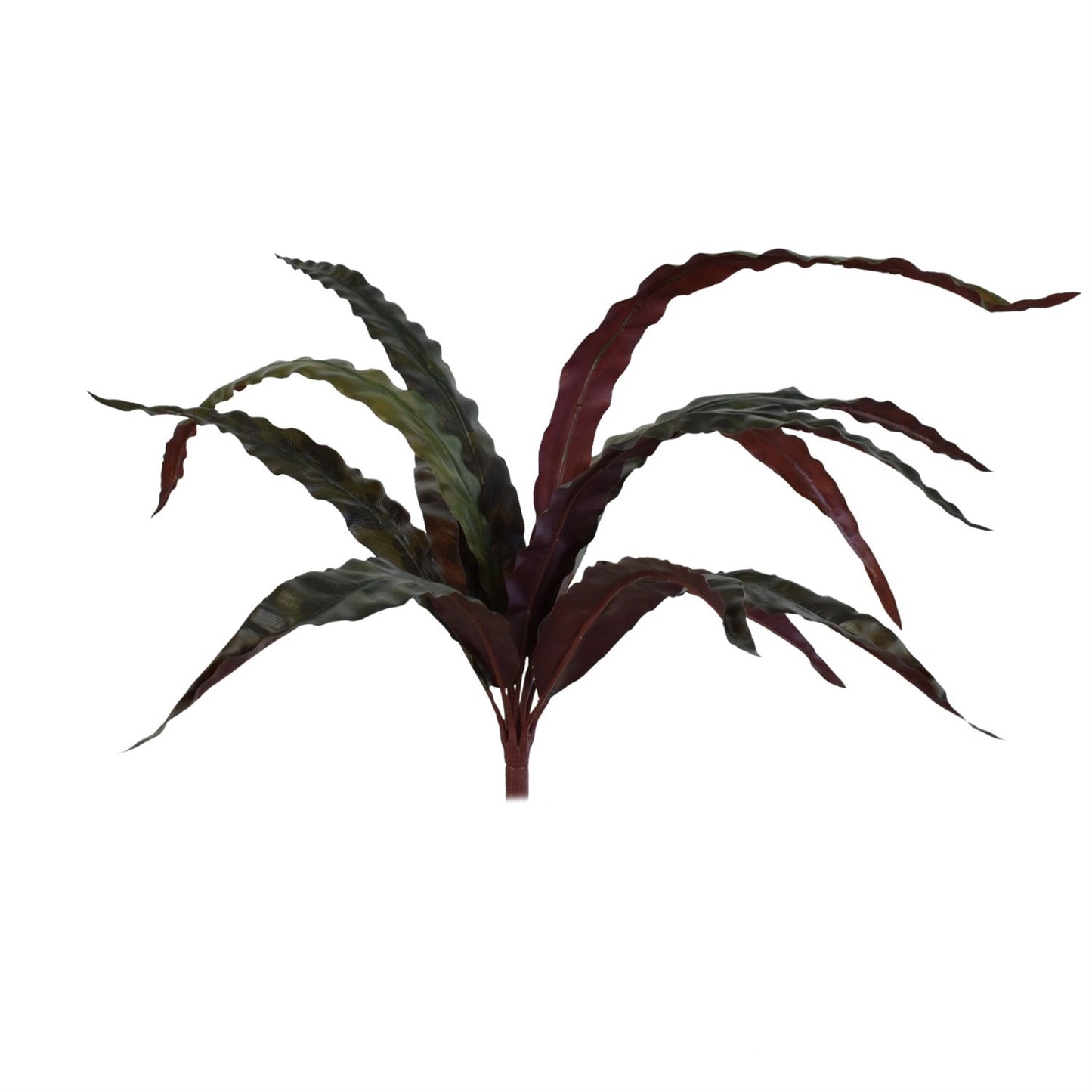 24" UV Bird's Nest Fern | QSE