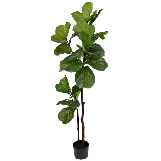 63” Fresh Touch Fiddle Leaf Potted Tree |XJE