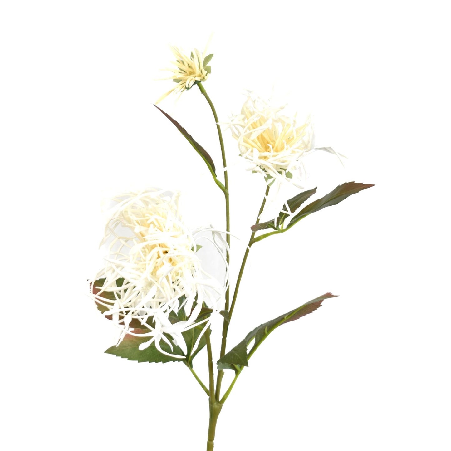 26" Chrysanthemum Spray in Cream | XJE