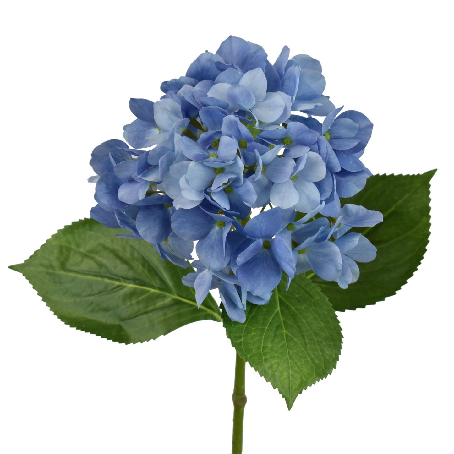 26.5” Freshly Bloomed Hydrangea Stem in Blue | XJE