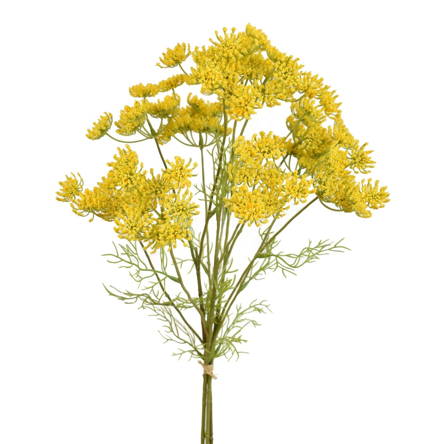 24” Queen Anne's Lace Bundle in Yellow | XJE