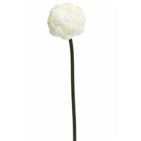 20" Fresh Cut Artichoke Stalk in White | XJE