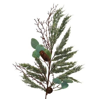 Eucalyptus Cypress Twig Branch 41