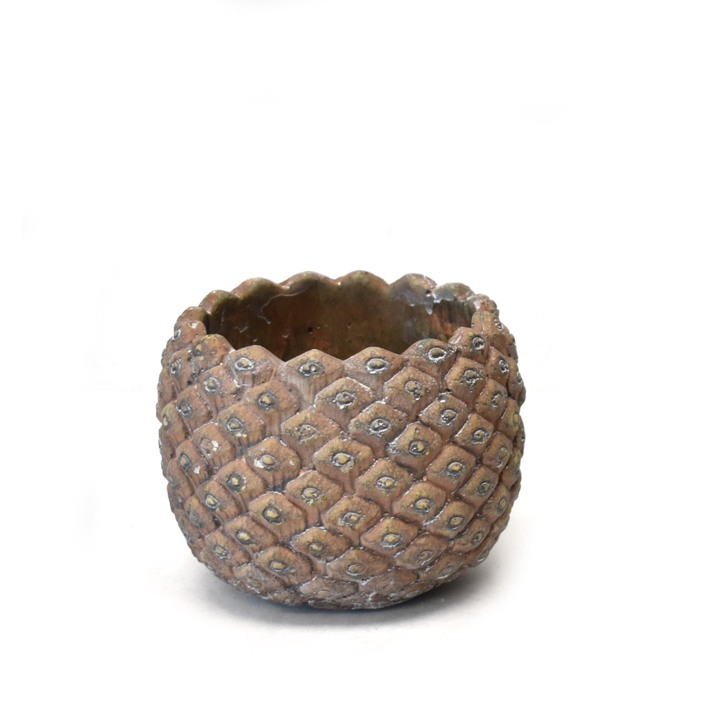 Cement Pine Cone Pot 5.5" x 5.5" x 4" | XJC22