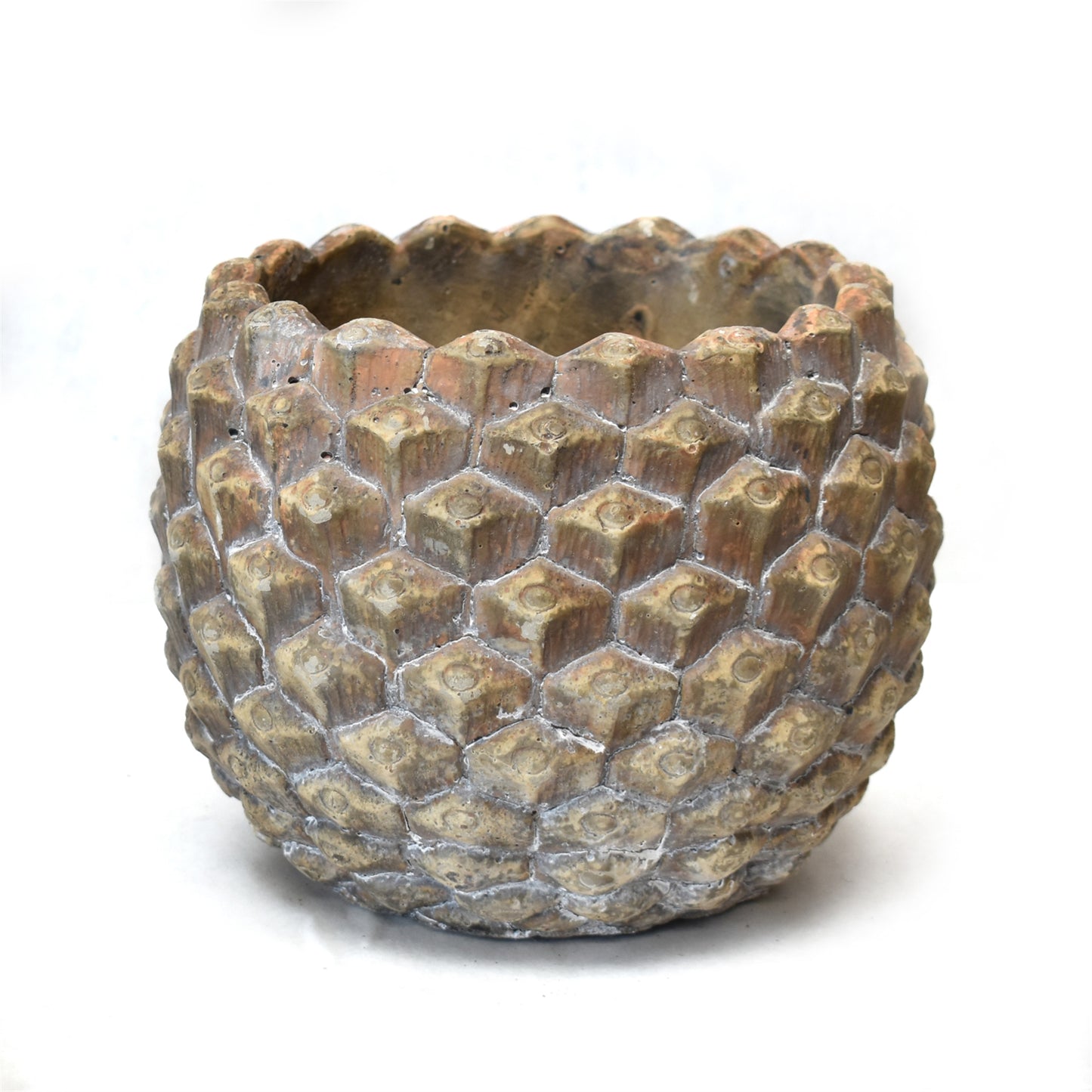 Cement Pine Cone Pot 8" x 8" x 6" | XJC22
