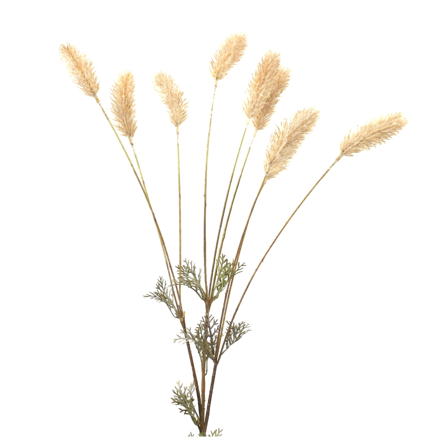 Foxtail Spray 37" in Brown | XJ