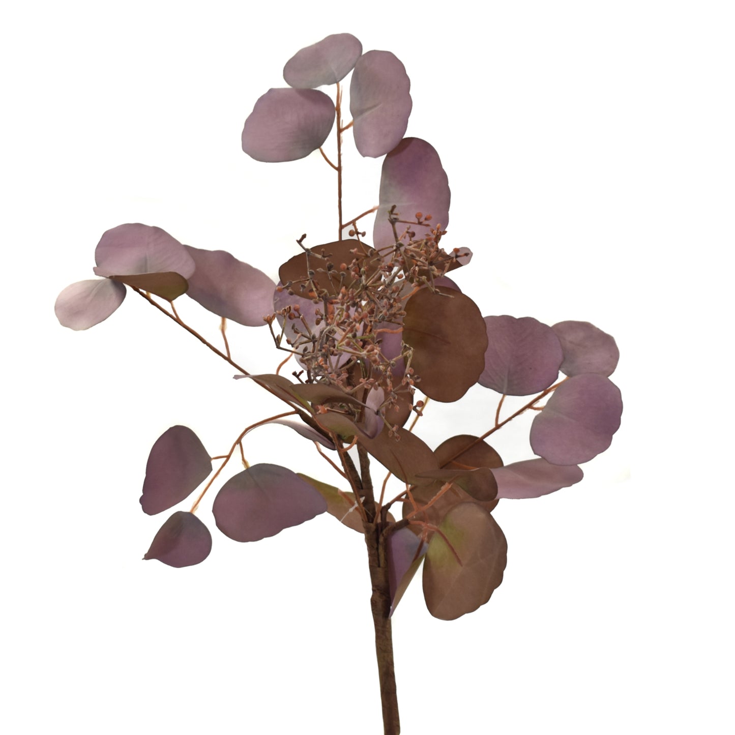 Washed Dollar Eucalyptus Spray with Seed 38" in Plum | XJC22