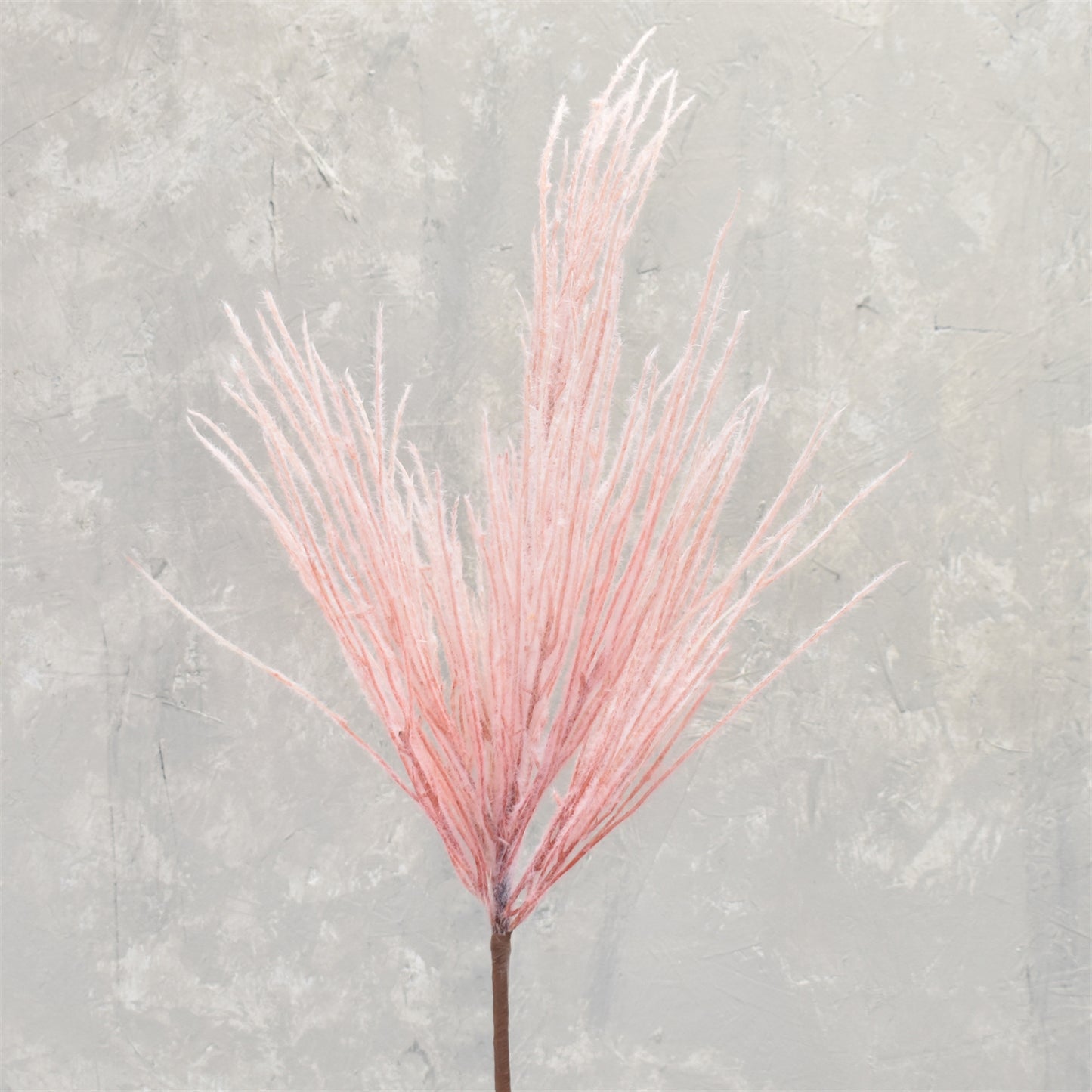 Grassy Pampas Spray 41" in Pink | XJC22