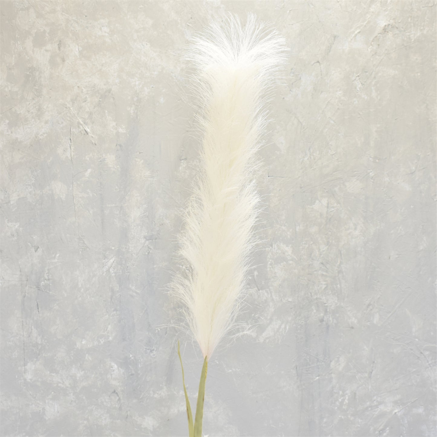 Feather Pampas 48" in Cream | XJ