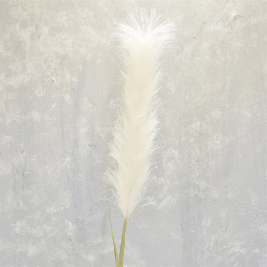 Feather Pampas 48" in Cream | XJ