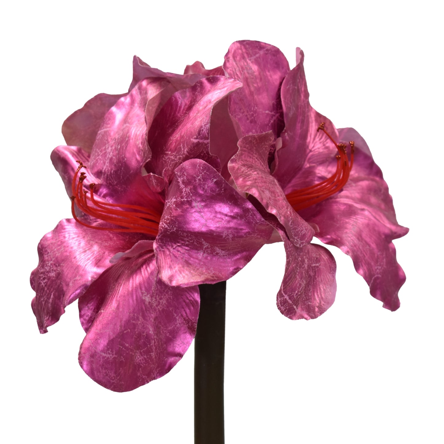 Fantasy Amaryllis Stem 21" in Hot Pink | XJ
