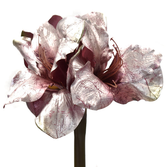 Fantasy Amaryllis Stem 21" in Lilac | XJ