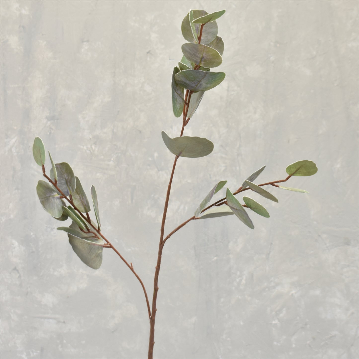 Soft Touch Silver Dollar Eucalyptus Spray 32" | XJ