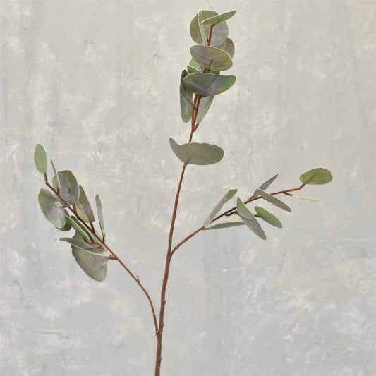 Soft Touch Silver Dollar Eucalyptus Spray 32" | XJ