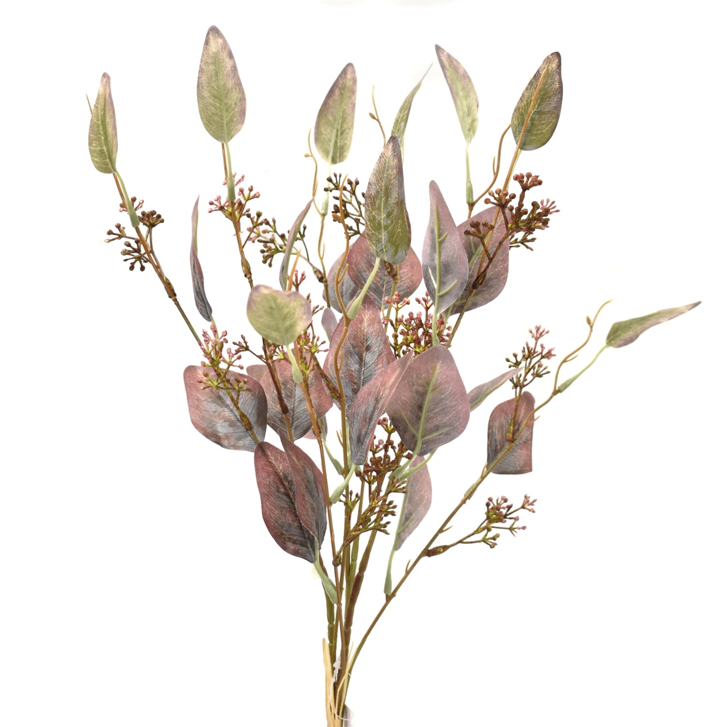 Seeded Eucalyptus Bundle 25" | XJ