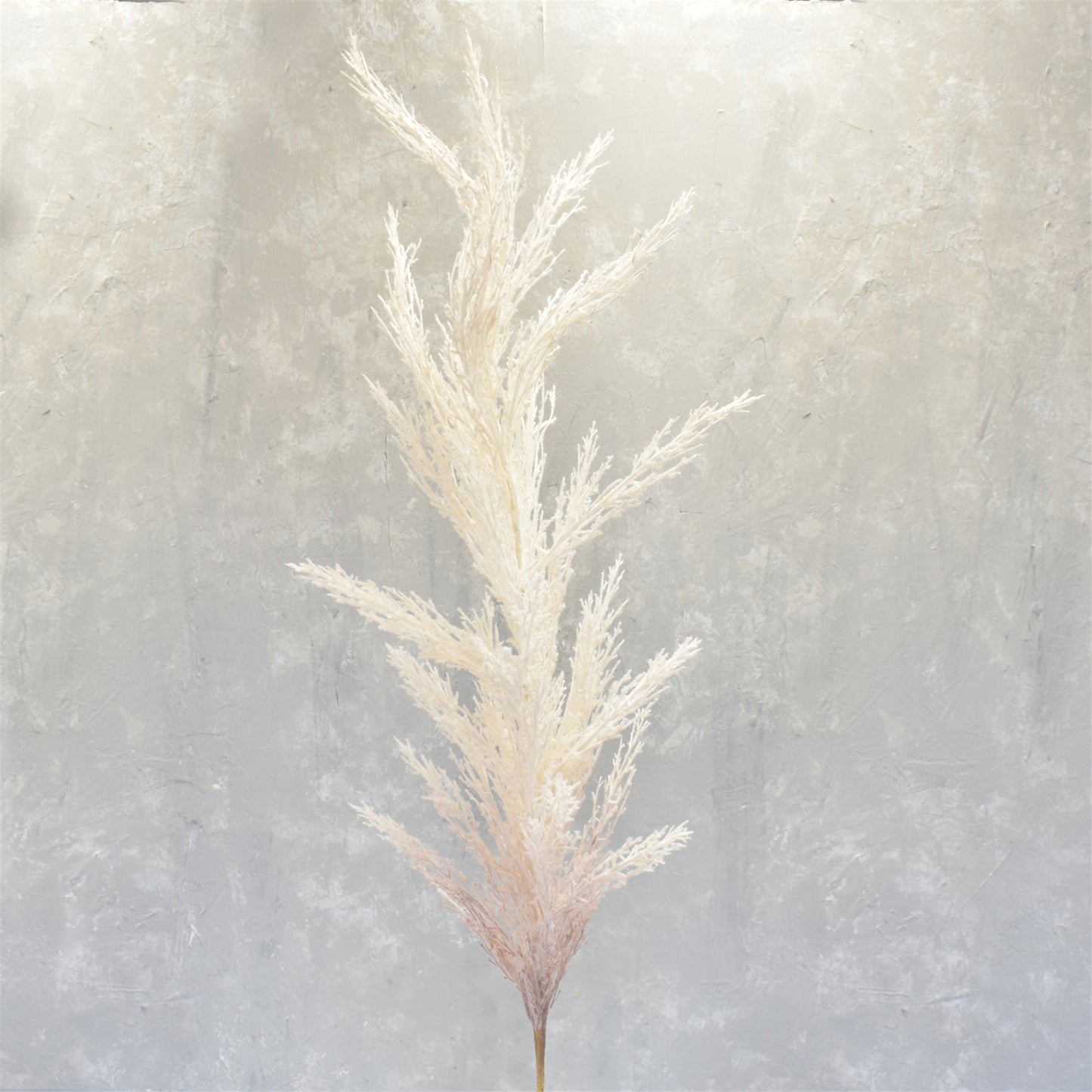 Grande Pampas Grass Stem 53" in Ivory | XJC22