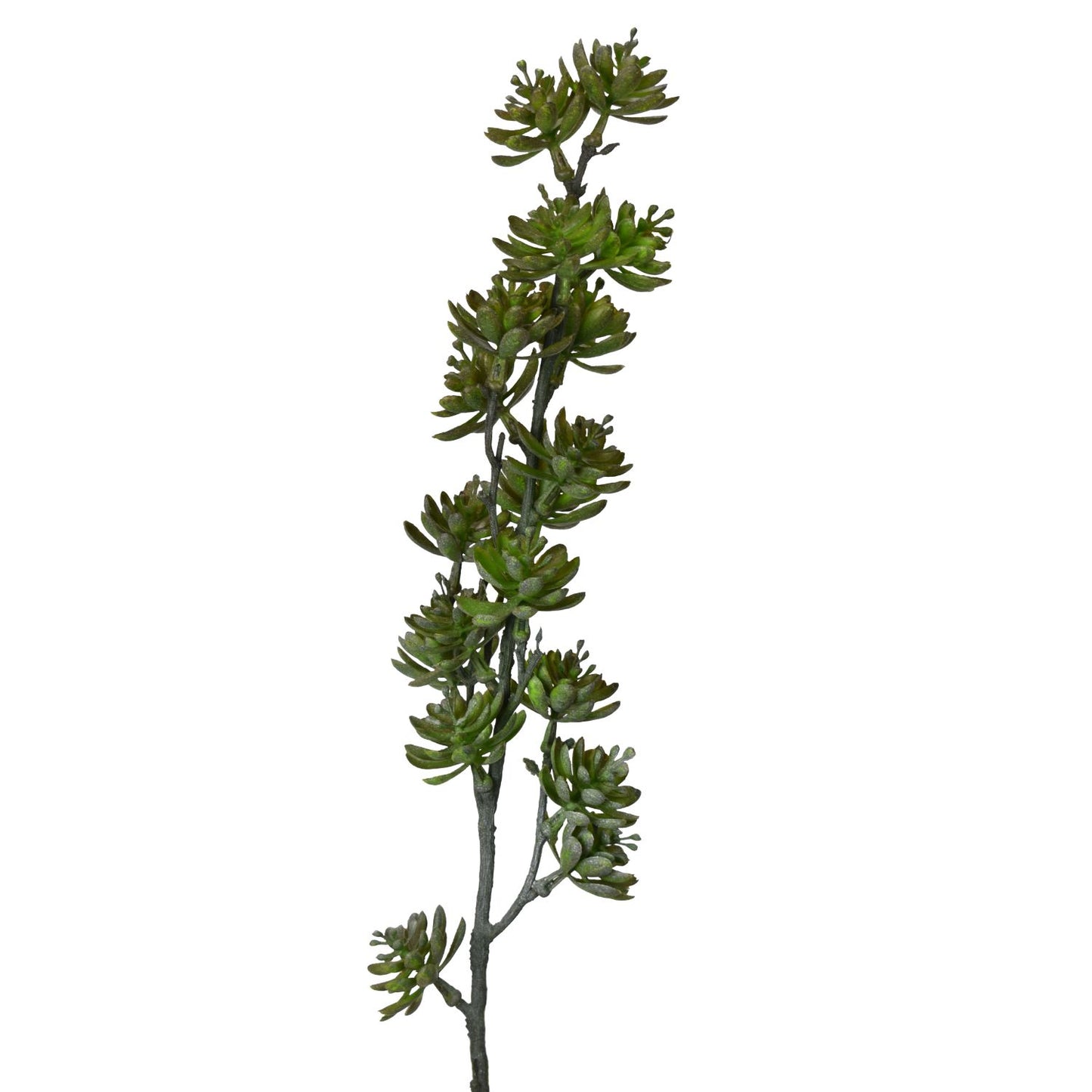 22" Rainforest Succulent Branch in Dark Green | XJ