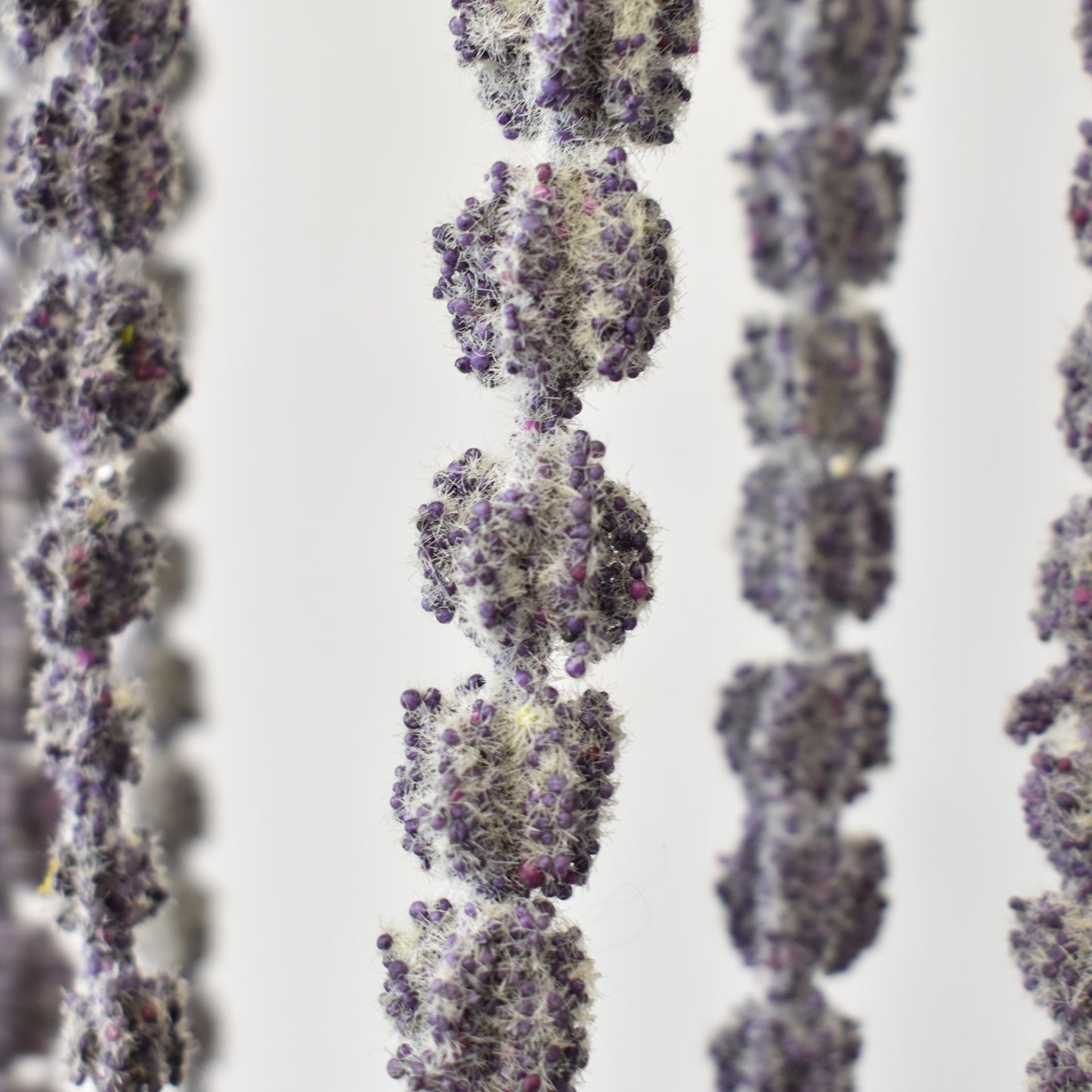 42" Amaranthus Hanging Spray in Purple | XJE