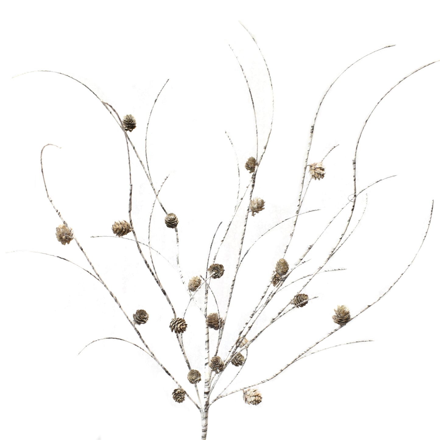 Birchwood Mini Pinecone Branch 38'' | TAC22
