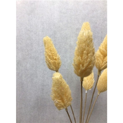 AMARANTH PICK BUNDLE X 7 -YELLOW | QSE