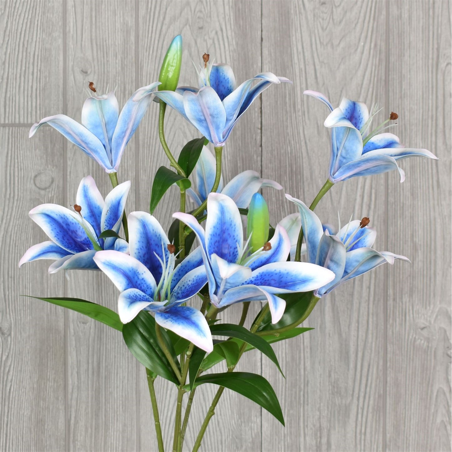 21" Tiger Lily Bush in Blue | XJE